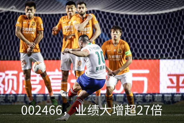 002466，业绩大增超27倍